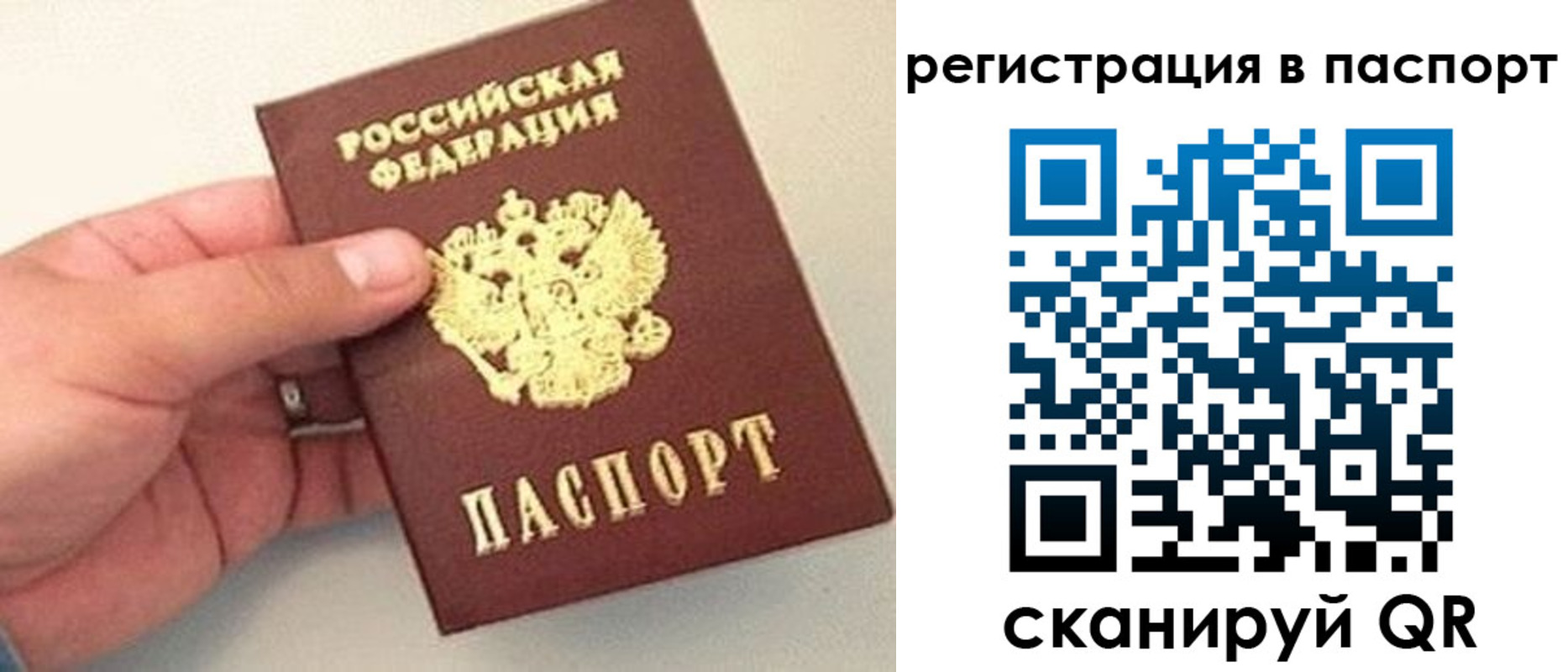 прописка законно в Заинске